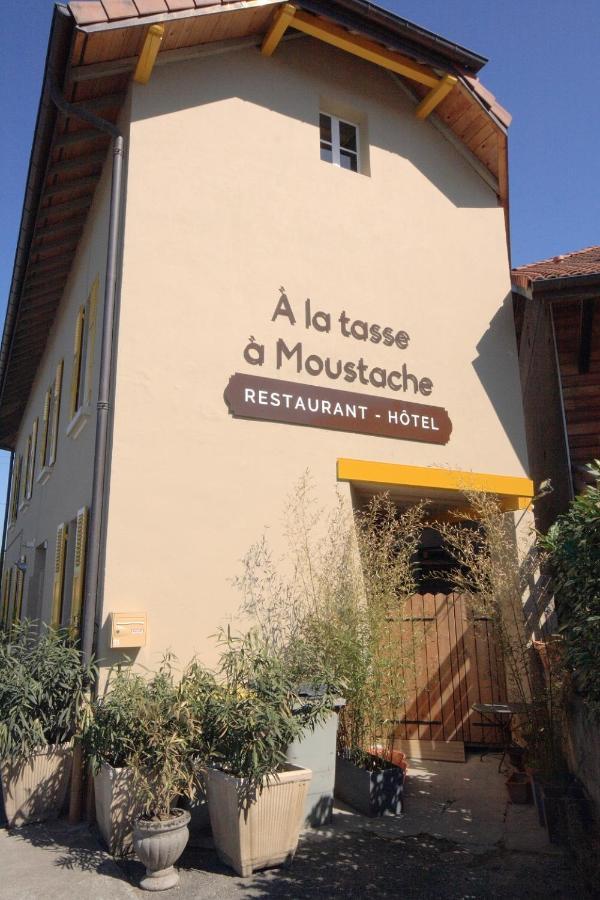 Hôtel A la tasse à moustache Thonon-les-Bains Esterno foto